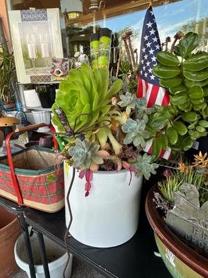 Sale Photo Thumbnail #893