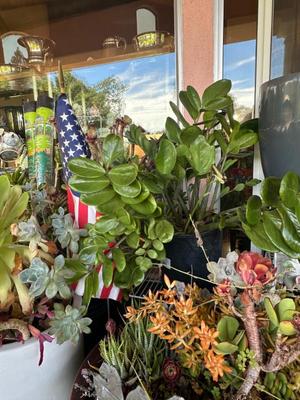 Sale Photo Thumbnail #892