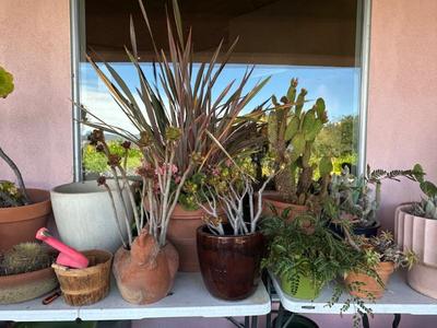 Sale Photo Thumbnail #838