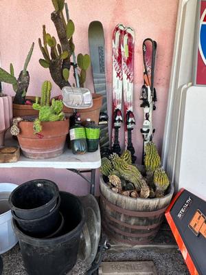 Sale Photo Thumbnail #842
