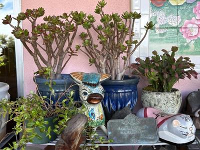 Sale Photo Thumbnail #878