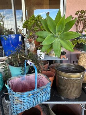 Sale Photo Thumbnail #886