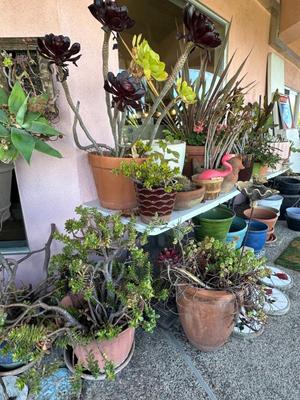 Sale Photo Thumbnail #834