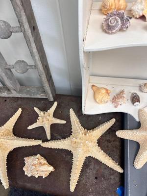 Sale Photo Thumbnail #72