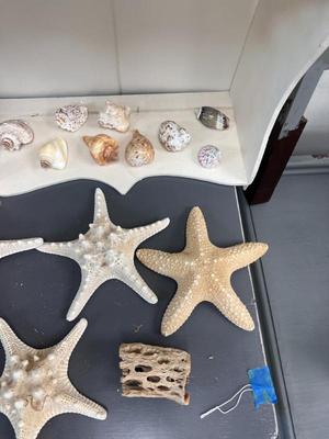 Sale Photo Thumbnail #74