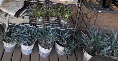 Sale Photo Thumbnail #132