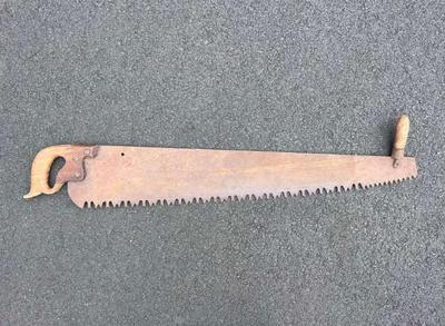 One man crosscut logging saw