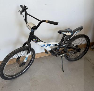 Boys Trek 20" Bicycle
Lot #: 237