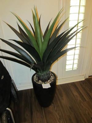 Sale Photo Thumbnail #64: Pier-1 faux plant