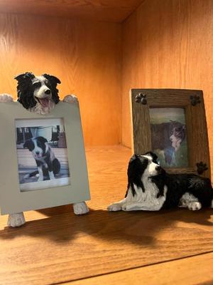 Sale Photo Thumbnail #235