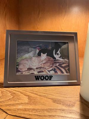 Sale Photo Thumbnail #236
