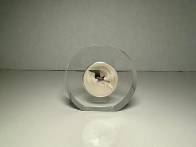 1973 Sterling Silver Medallion Jonathan Livingston Seagull