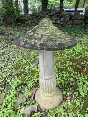 Moss Covered Cement Saddle Stone