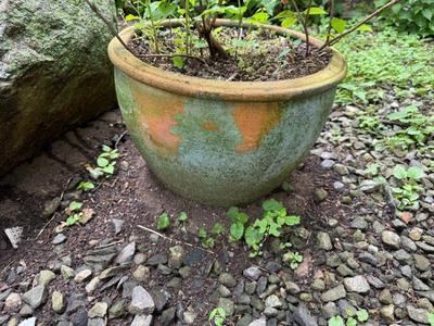 Old Terracotta Planter
