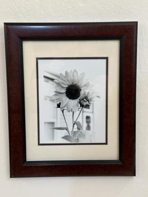Sale Photo Thumbnail #288
