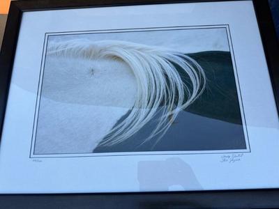 Sale Photo Thumbnail #50