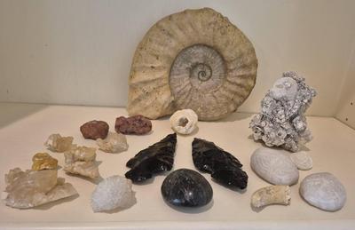 Fossils Plus