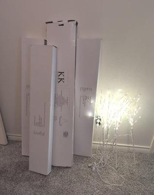 Lighted Birch Trees