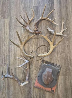 Deer Antlers Plus
