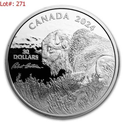 Sale Photo Thumbnail #292