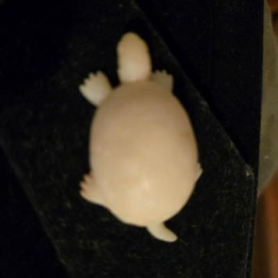 Sale Photo Thumbnail #289