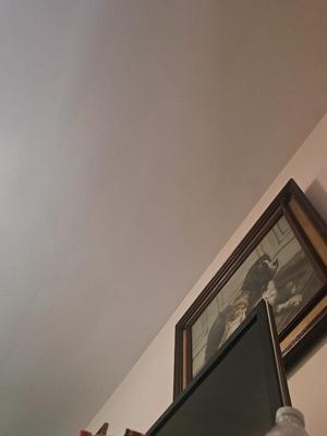 Sale Photo Thumbnail #278