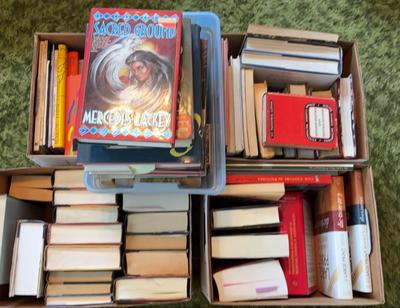 ADULT BOOKS MYSTERY LOT #6