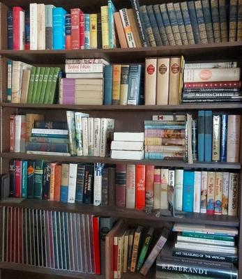 ADULT BOOKS MYSTERY LOT #3