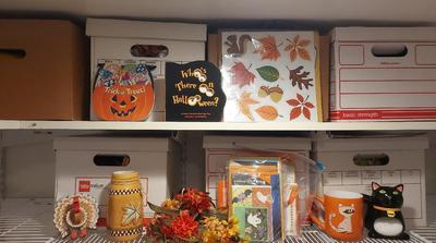 FALL HOLIDAYS MYSTERY LOT