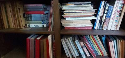 ADULT BOOKS MYSTERY LOT #4