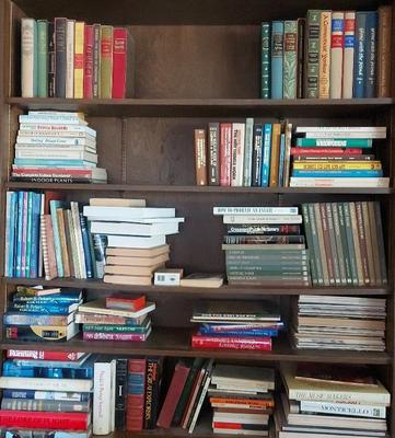 ADULT BOOKS MYSTERY LOT #2