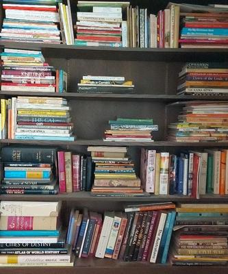ADULT BOOKS MYSTERY LOT #1