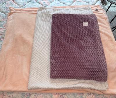 Calvin Klein, BCBG & Château Lin Throw Blankets