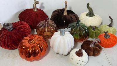 Pumpkin Variety For Fall Decorating