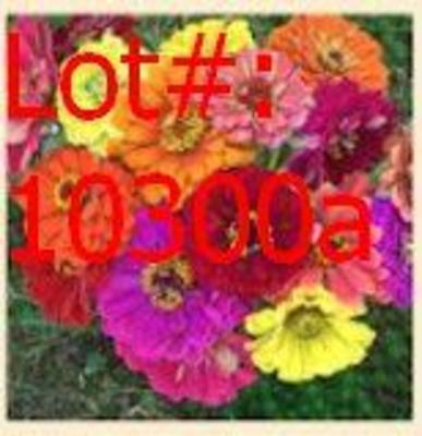 Sale Photo Thumbnail #1124