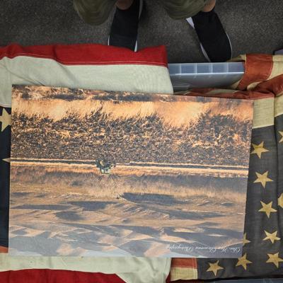 Sale Photo Thumbnail #46