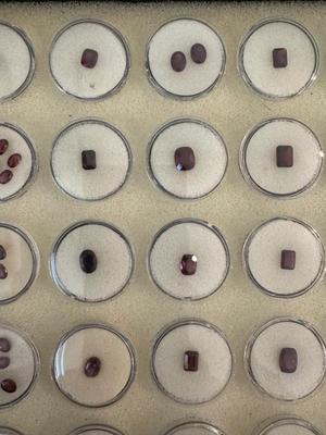 Loose stones include rubies, sapphires, emeralds, garnets, periodot and more