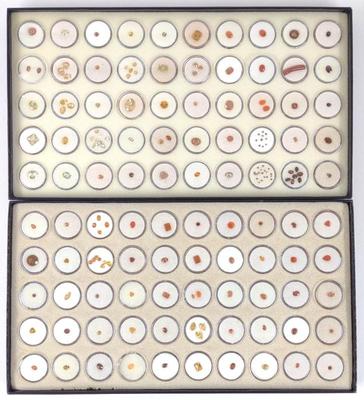 Sale Photo Thumbnail #109: Orange Tone Loose Gemstones (2 Full boxes)