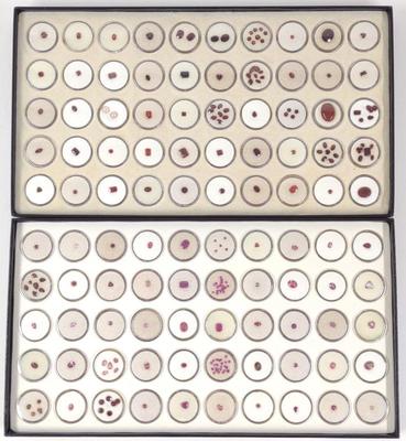Sale Photo Thumbnail #118: Red Tone Loose Gemstones (2 Full boxes)