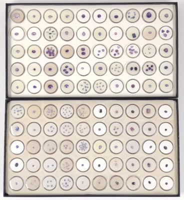 Sale Photo Thumbnail #121: Purple Tone Loose Gemstones (2 Full boxes)