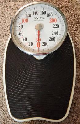 Taylor professional scale metal