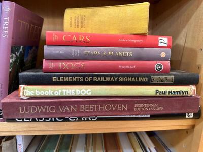 Sale Photo Thumbnail #309