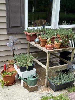 Sale Photo Thumbnail #48
