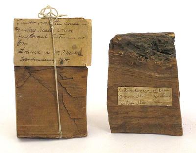 Sale Photo Thumbnail #71: Historic wood relics with early handwritten identification