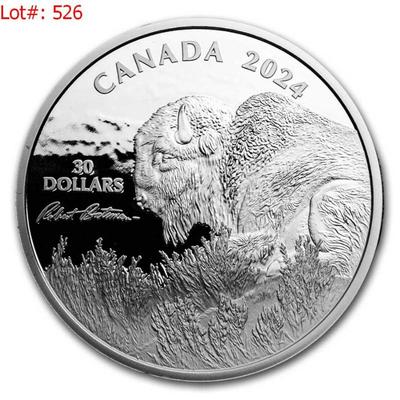 Sale Photo Thumbnail #526