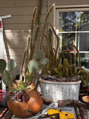 Sale Photo Thumbnail #499