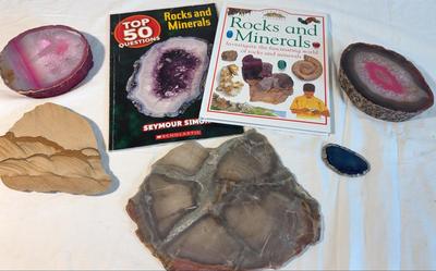 Rock and Mineral Books + Geode Slices