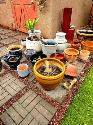 Sale Photo Thumbnail #76