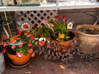 Sale Photo Thumbnail #386