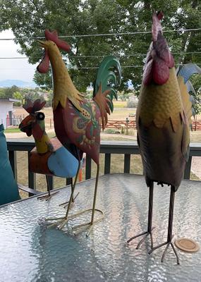 Metal Chicken Trio